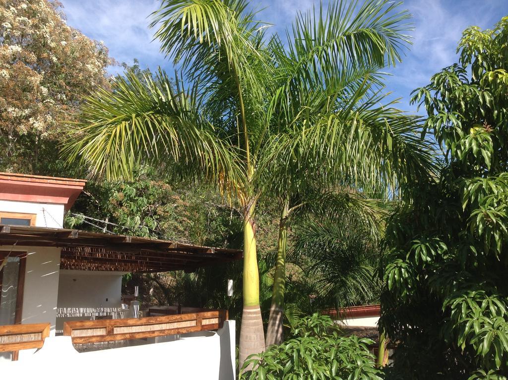 Casa Flor De Mar Hotel Zipolite Esterno foto